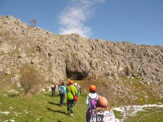 excursiones renovadas