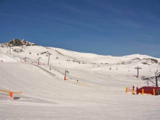 semana blanca 2016