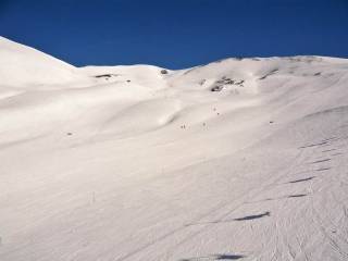 semana blanca 2016