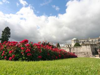 Powerscourt centre