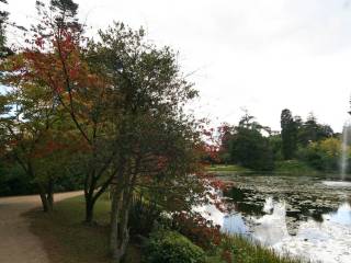 Powerscourt centre