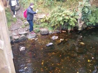 excursión del grupo de curso escolar