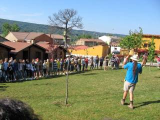 dias de registro en campamento