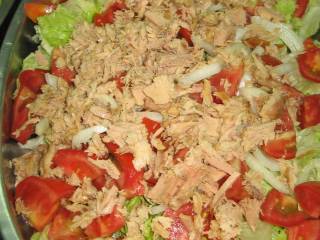 comida en campamentos