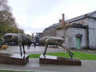 la ciudad de Killarney