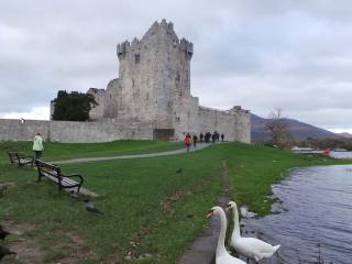 visita al castillo de Ross