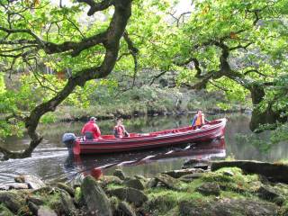 Que hacer con niños en killarney