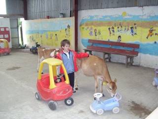 Que hacer con niños en killarney