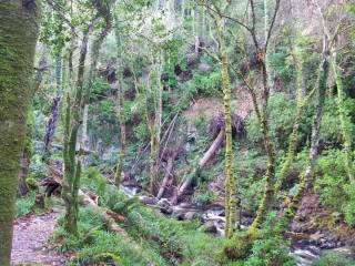 torc waterfall - cascada de Torc