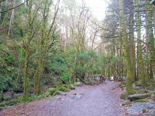 torc waterfall - cascada de Torc