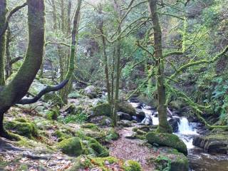 torc waterfall - cascada de Torc