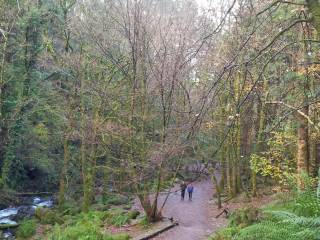 torc waterfall - cascada de Torc