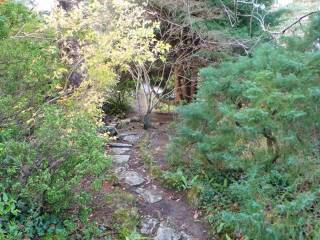 Muckross House y jardines