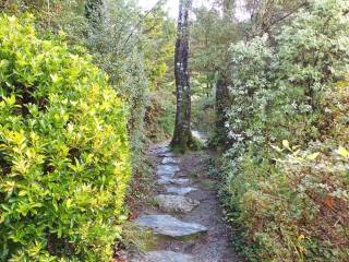 Muckross House y jardines