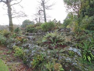 Muckross House y jardines