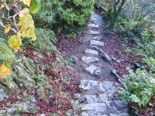 Muckross House y jardines