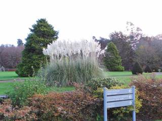 Muckross House y jardines