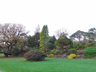 Muckross House y jardines