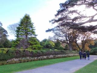 Muckross House y jardines