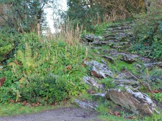 Muckross House y jardines