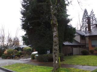 casas de familias burnaby mountain