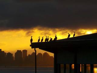 vistas de vancouver