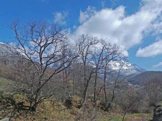 excursión Multiaventura