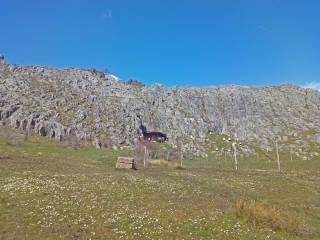 excursión Multiaventura