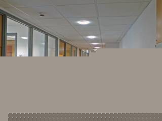 Cursos de adultos en Galway