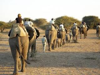 Safari en Ciudad del Cabo