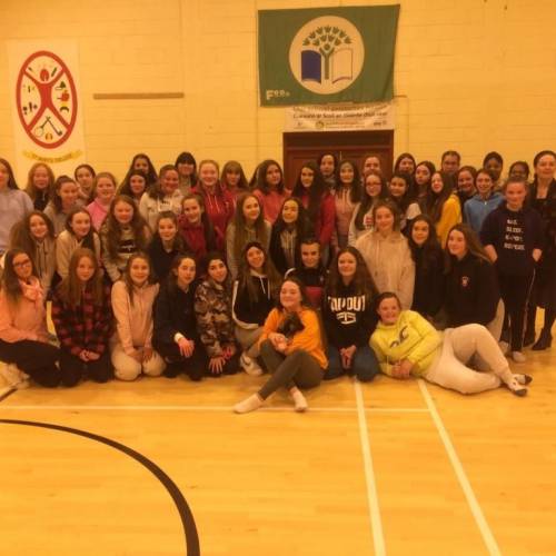 Colegios de Irlanda - St Marys College - Arklow