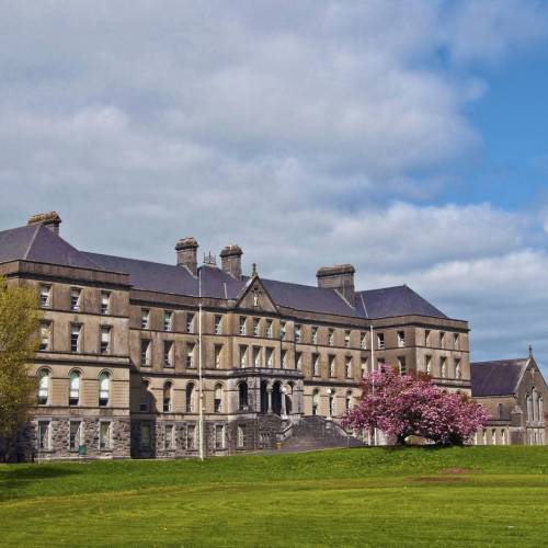 Colegios irlandeses - St Finian's College - Mullingar