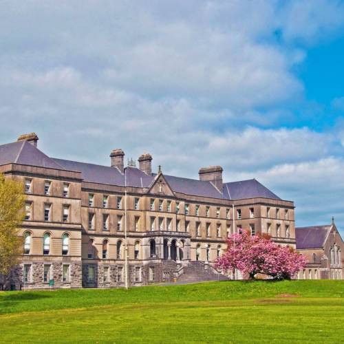 Colegios irlandeses - St Finian's College - Mullingar