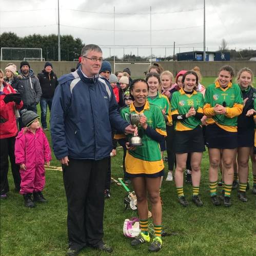 Colegios Irlandeses - Coláiste Bríde - Enniscorthy