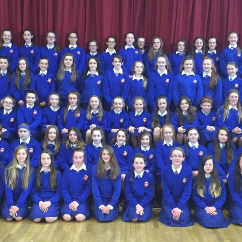 Colegios irlandeses - St Mary's Secondary School - Nenagh