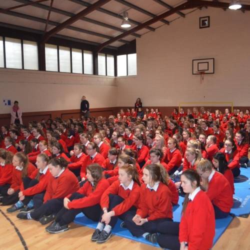 Colegios irlandeses - Presentation Secondary School - Clonmel