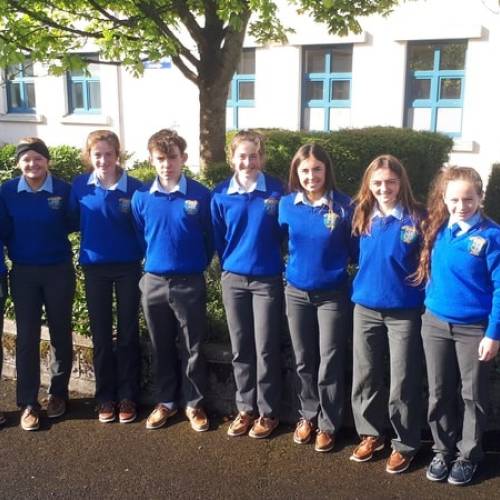 Colegios de Irlanda - trician Presentation - Fethard