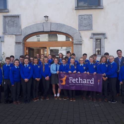 Colegios de Irlanda - trician Presentation - Fethard