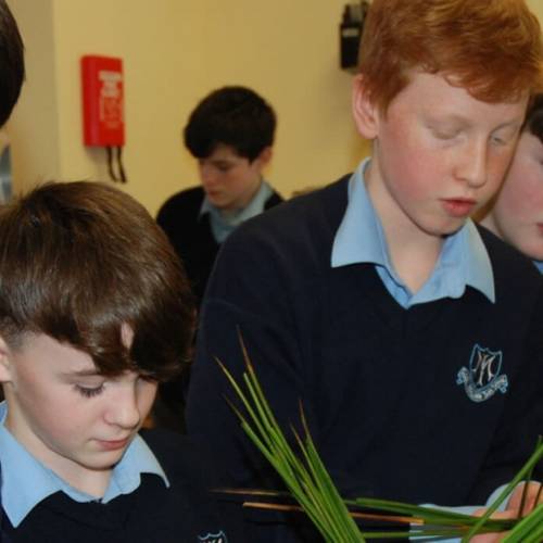 Colegios irlandeses - Mary Immaculate Secondary School - Lisdoonan