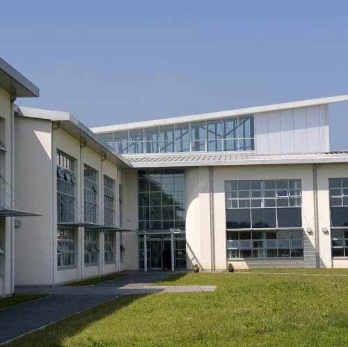 Colegios irlandeses - Pobalscoil na Tríonóide - Frogmore