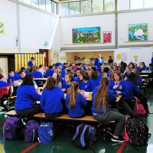 Colegios de Irlanda - Castleisland Community College - Castleisland