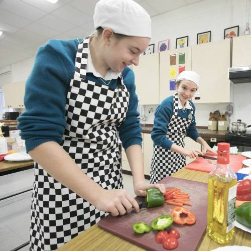 Colegios de Irlanda - Roscommon Community School - Roscommon