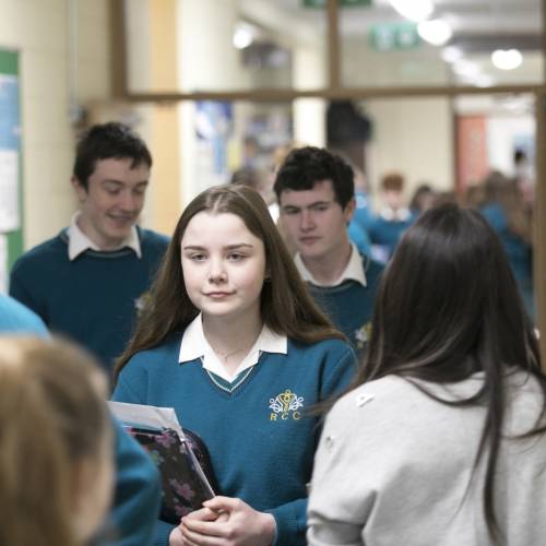 Colegios de Irlanda - Roscommon Community School - Roscommon