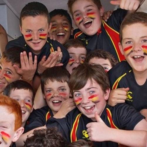 Colegios de Irlanda - Ardscoil Ris - Limerick