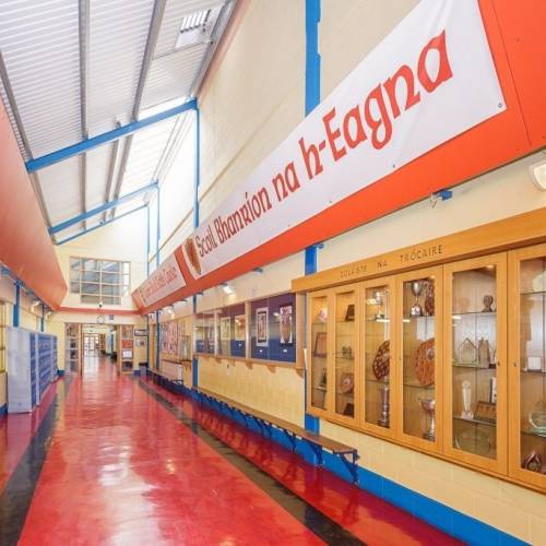 Colegios irlandeses - Colaiste na Trocaire (Mercy Community College) - Rathkeale