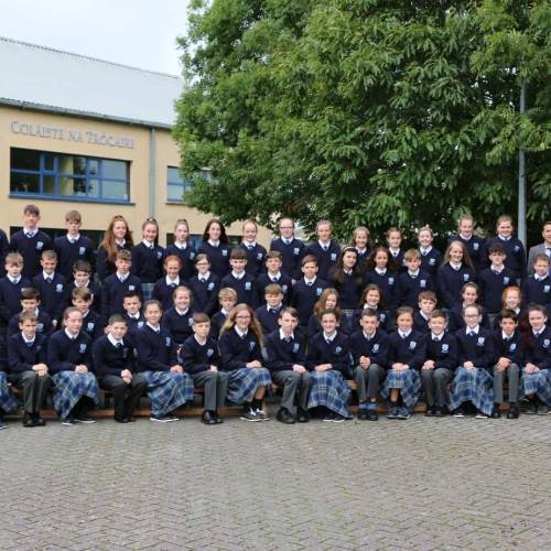 Colegios irlandeses - Colaiste na Trocaire (Mercy Community College) - Rathkeale