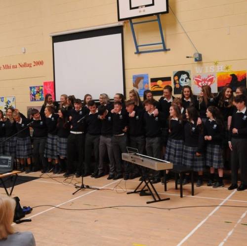 Colegios irlandeses - Colaiste na Trocaire (Mercy Community College) - Rathkeale