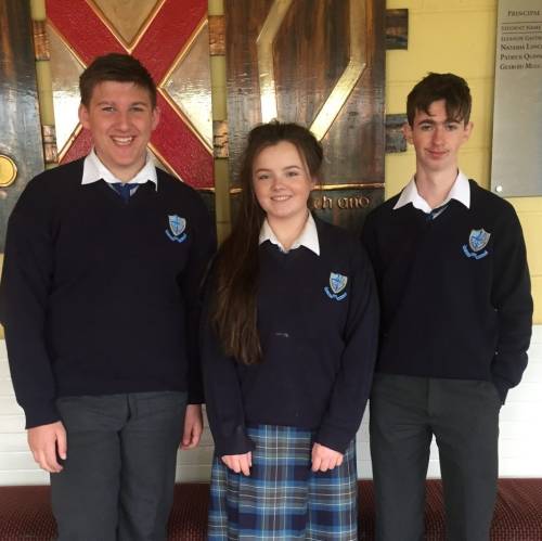 Colegios irlandeses - Colaiste na Trocaire (Mercy Community College) - Rathkeale