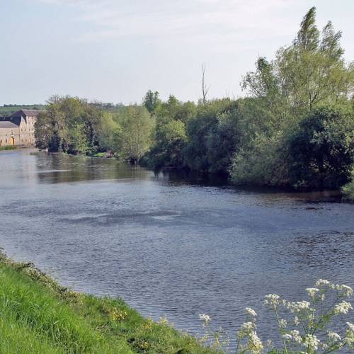 Muine Bheag en Carlow