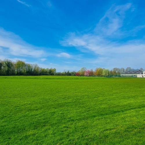 Cistercian College Roscrea - colegio cisterciense de Irlanda